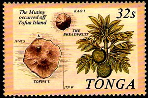 bread fruit