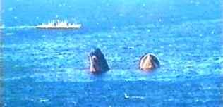 sinking 2