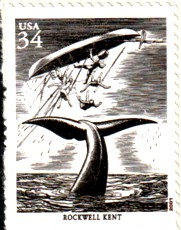 Fluke