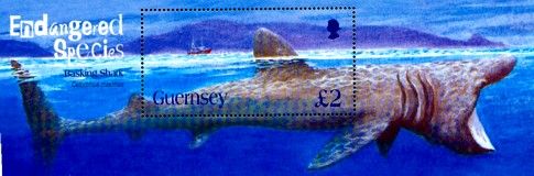Kon-Tiki