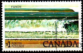 Tsunami