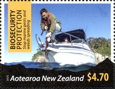 NZ