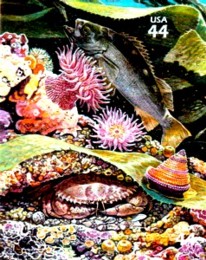 Klima